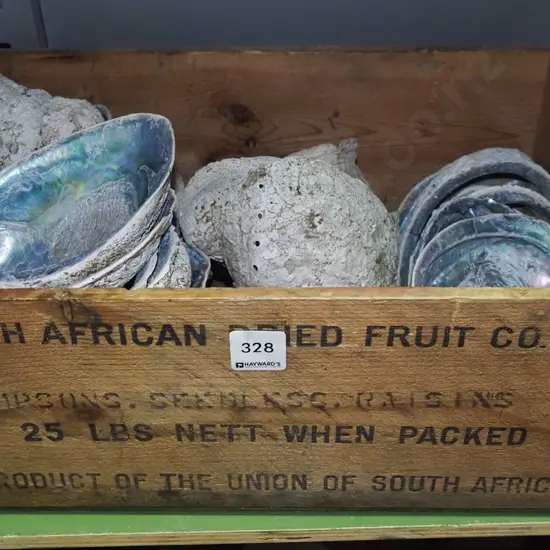 wooden tray of paua shells
