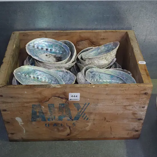 box; paua shells
