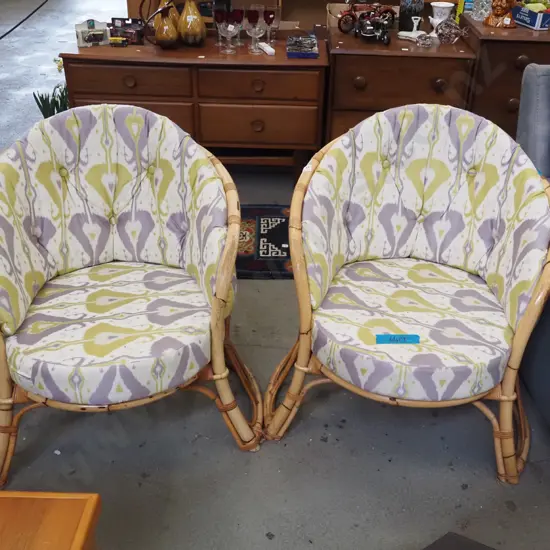 pair of cane uphostered tub chairs