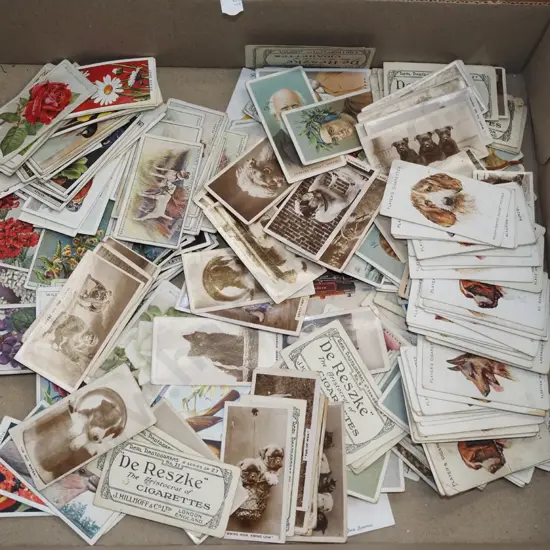 box of cigarette collector cards