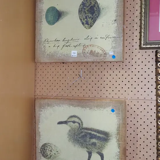 prints on boxed hessian - duck and eggs - blue dots