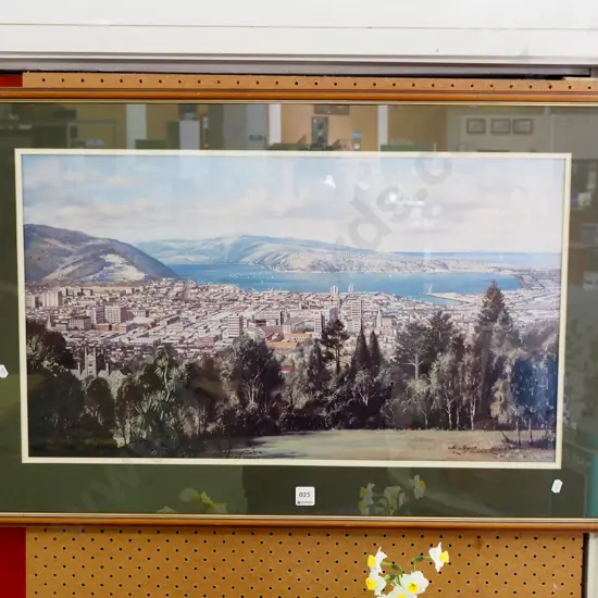 KJ Toomer print - Dunedin scene from above Otago Boys H-440 W-690