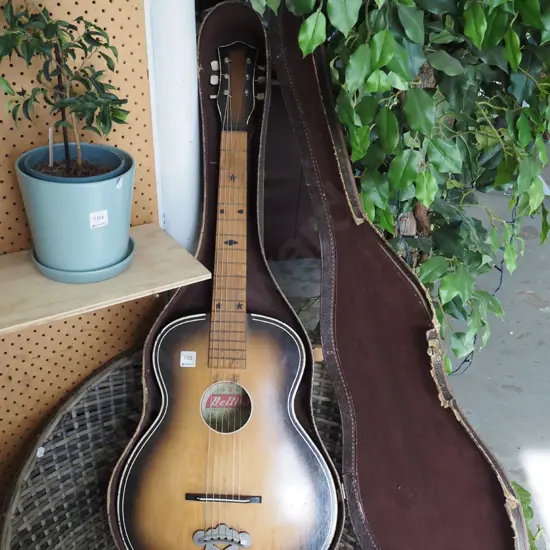 steel string guitar and carry case
