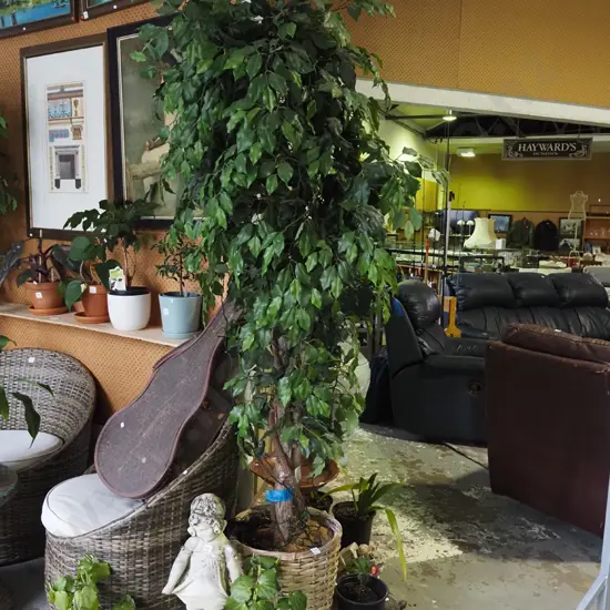 plastic tree in cane planter with fairy lights H-2000