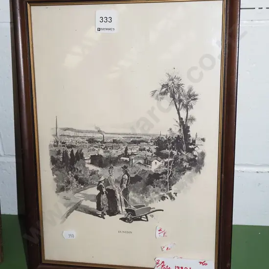 framed historic print - view of Dunedin