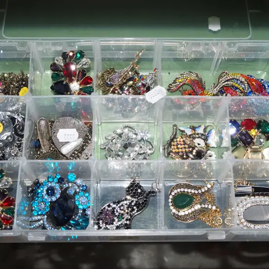 plastic organiser, costume jewellery