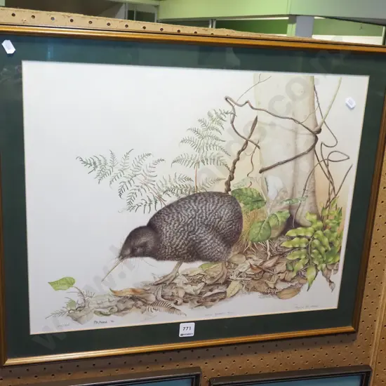 Pauline M  Morse - framed ltd edition  print - kiwi