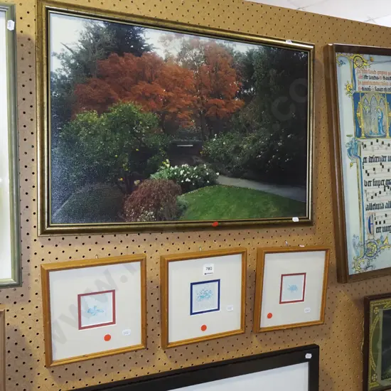 framed photo print - garden, 3x botanical prints - red dots