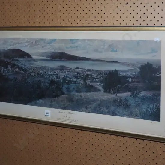 framed historic print - Dunedin