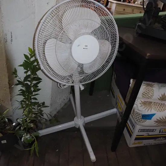 standard oscillating fan 