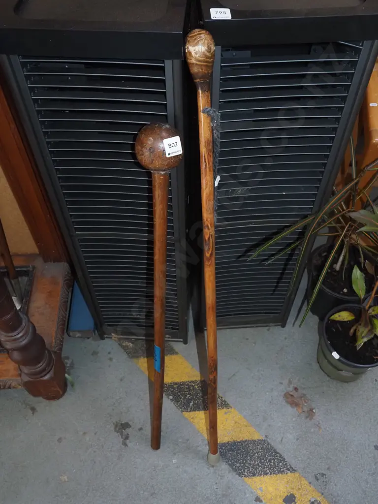 2x walking sticks Image 1++