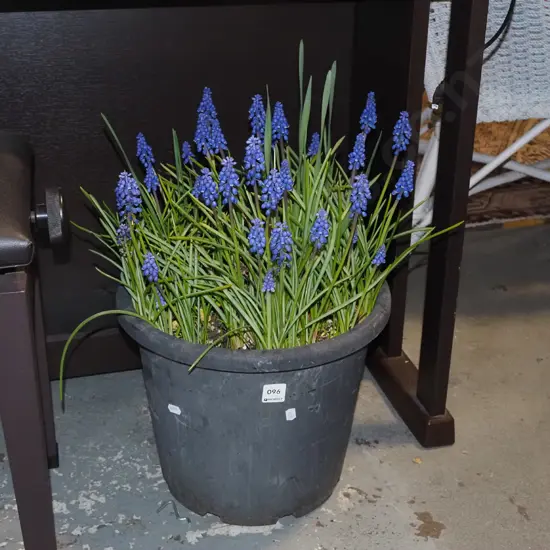 large tub of matchsticks