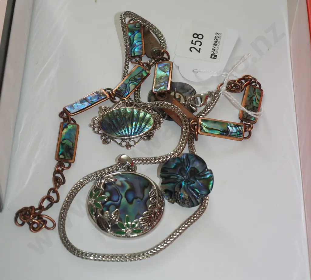 paua shell pendant, necklace, brooches etc Image 1++