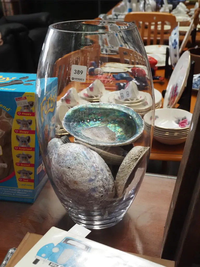large Stevens glass vase, various shells H400 Image 1++