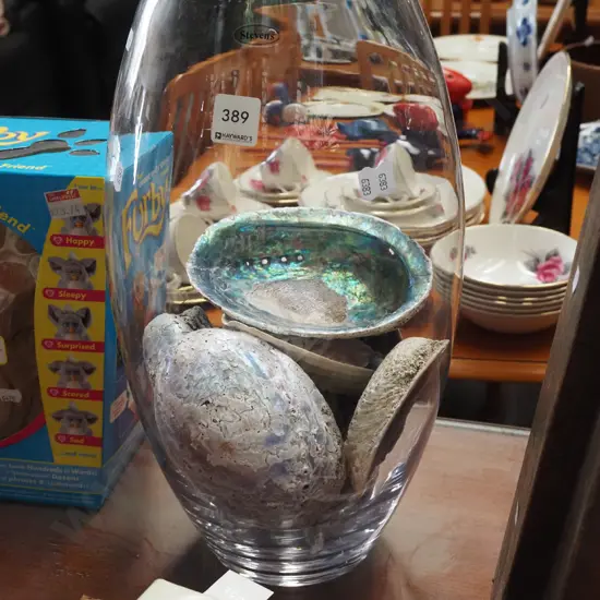 large Stevens glass vase, various shells H400