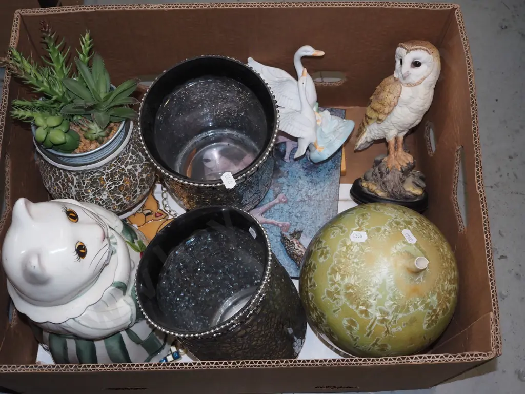 box; cat canister, plastic succulents etc Image 1++