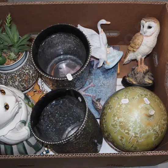 box; cat canister, plastic succulents etc