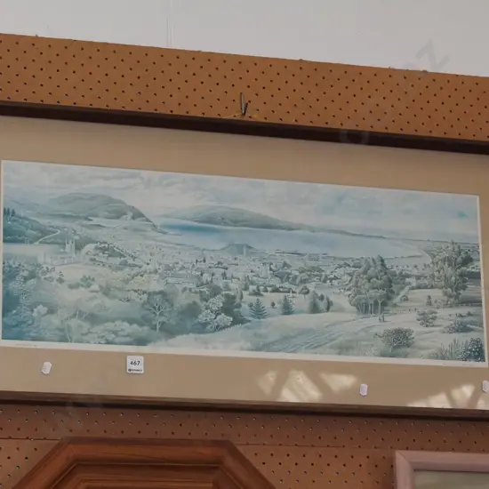 framed historic print - Dunedin