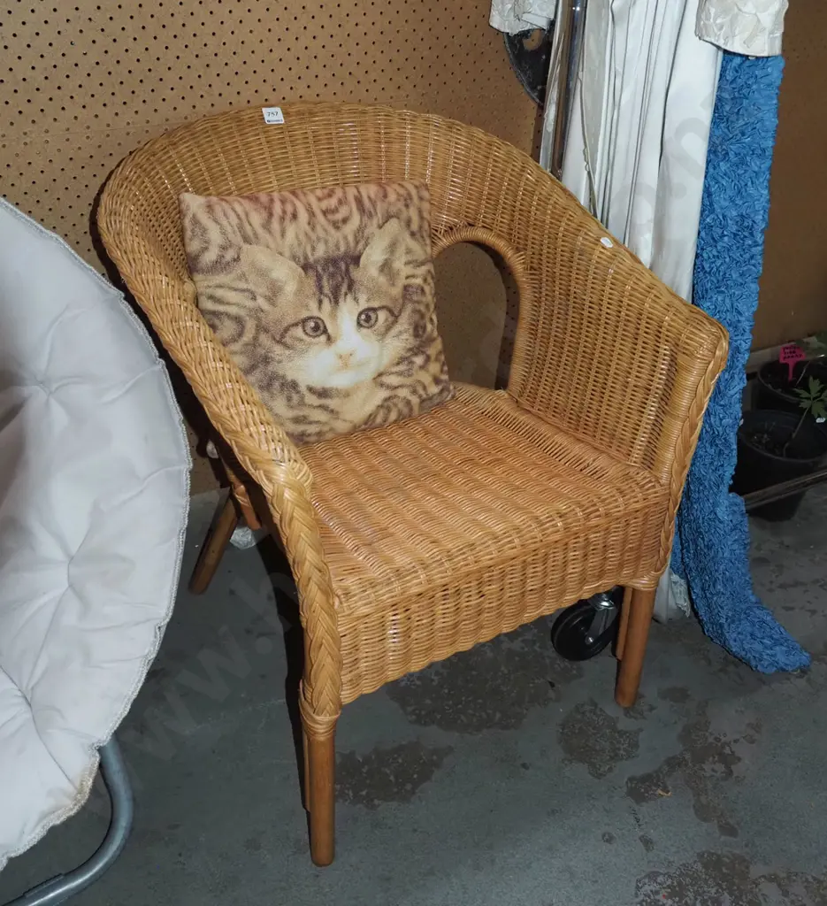 cane armchair, cat themed cushion Image 1++