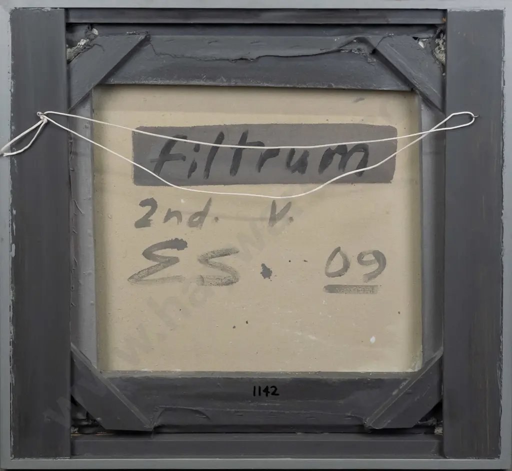 Eion Stevens 2009 - framed oil on stretched canvas "filtrum - 2nd v" H572 W620 Image 1++