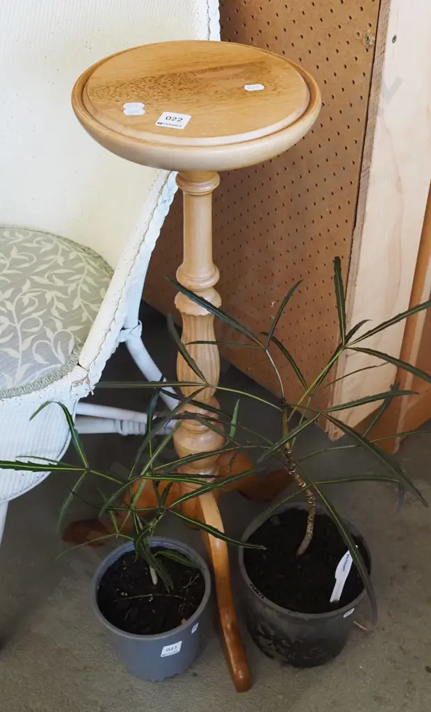 mahogany jardiniere stand - some fading Image 1++
