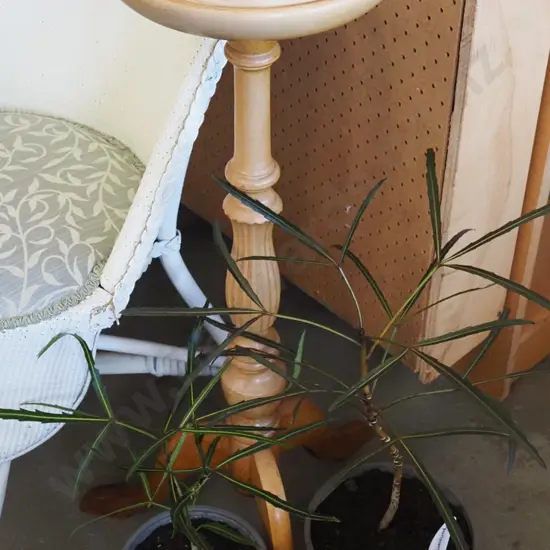 mahogany jardiniere stand - some fading