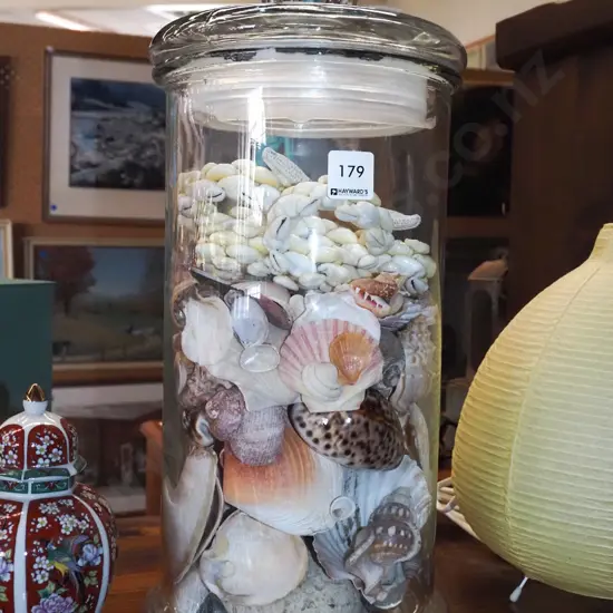 tall glass storage canister and shells H420