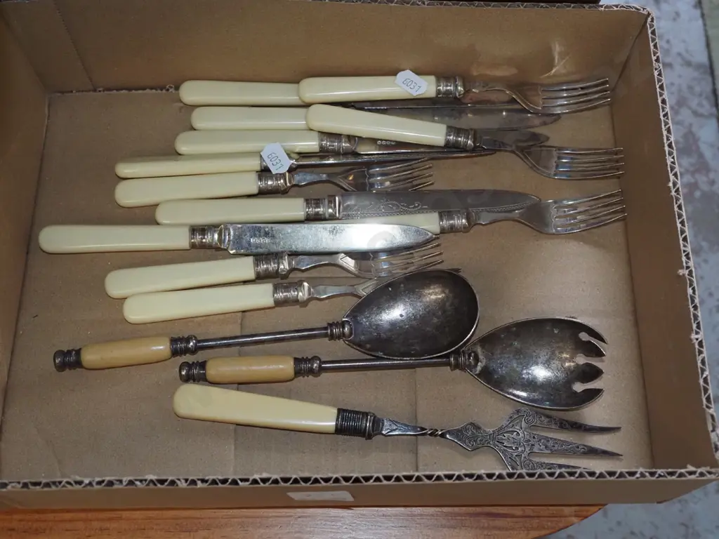 bone handled knives, forks etc Image 1++