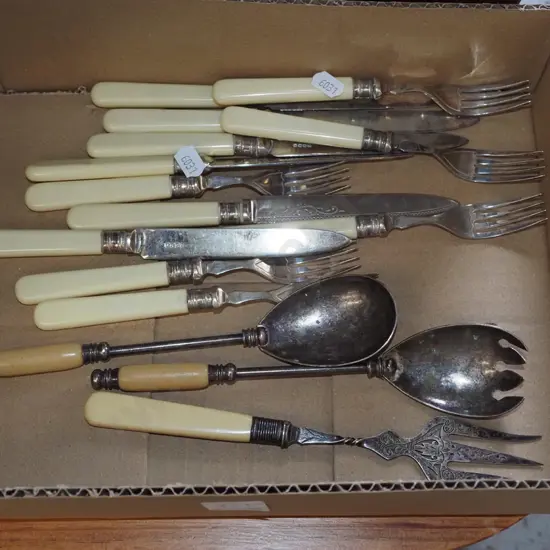 bone handled knives, forks etc