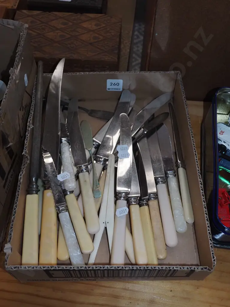box; bone handled cutlery Image 1++