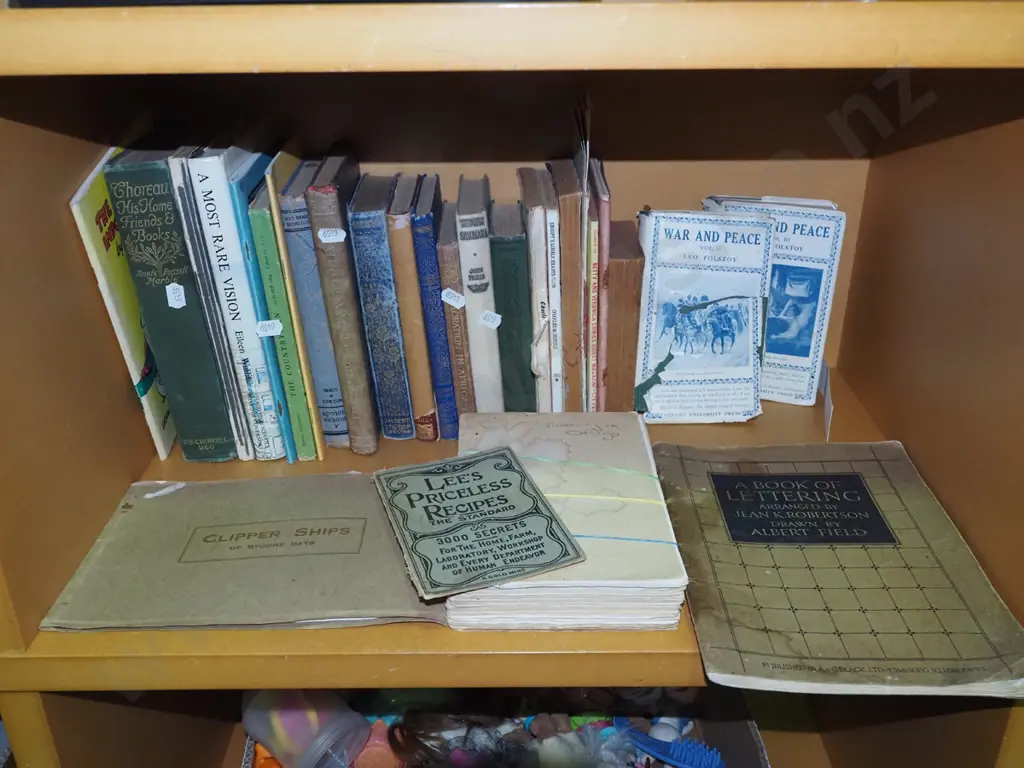 shelf; various books Image 1++