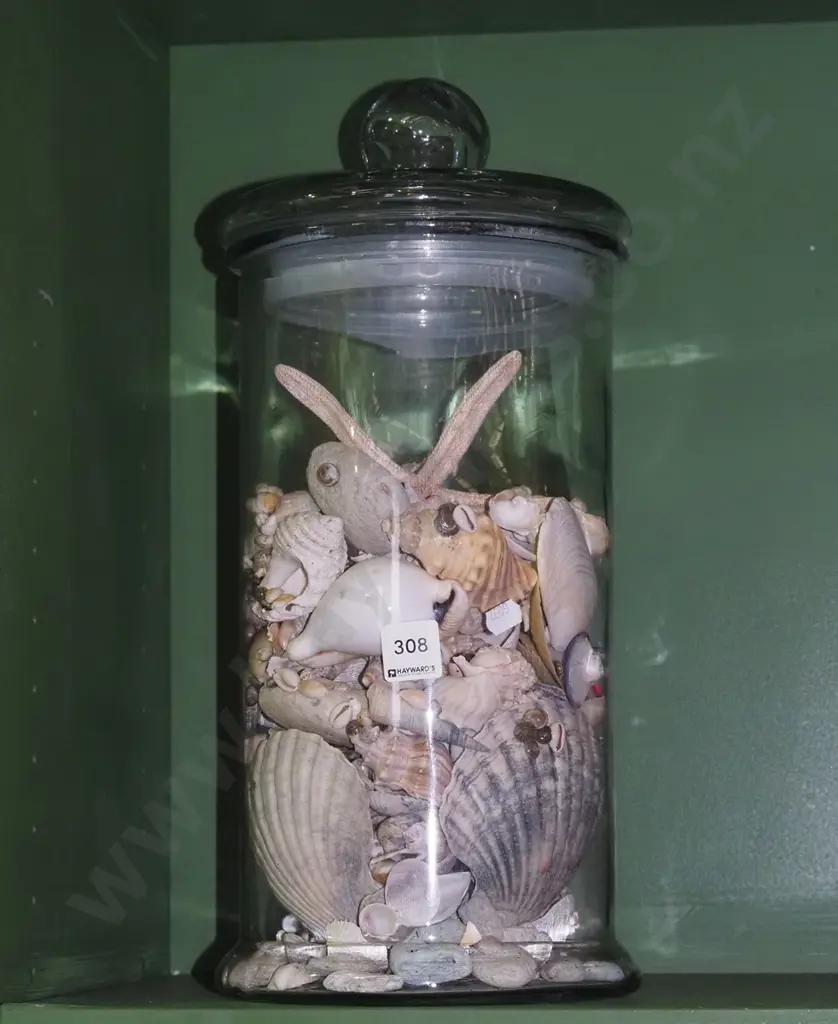 tall lidded glass canister and shells H420 Image 1++
