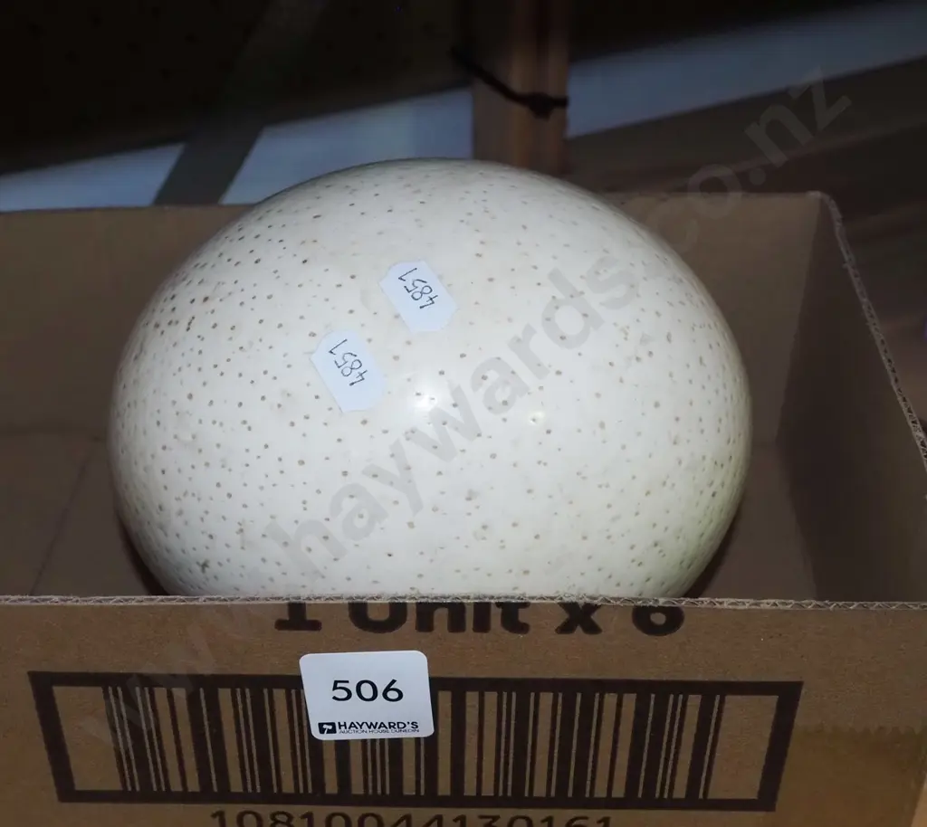 ostrich egg Image 1++