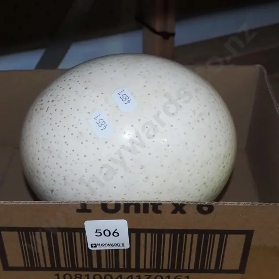 ostrich egg