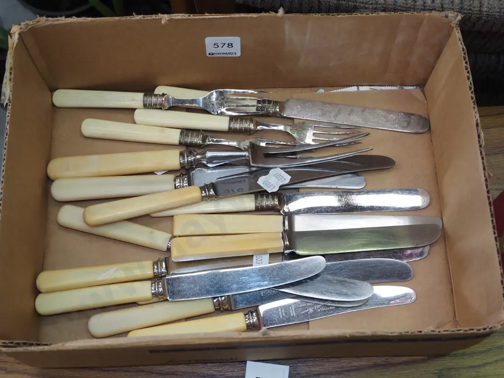 box of bone handled cutlery Image 1++