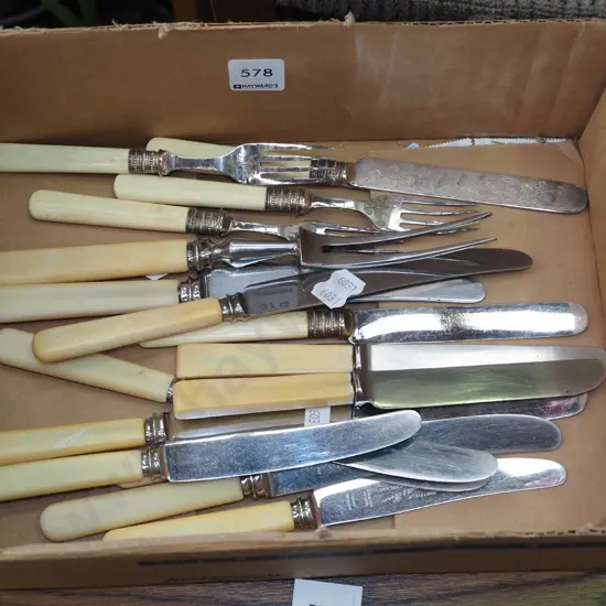 box of bone handled cutlery