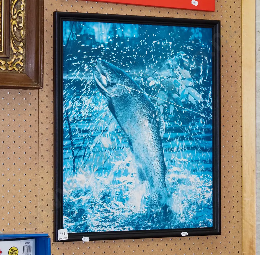 framed print - trout on fishing line Image 1++