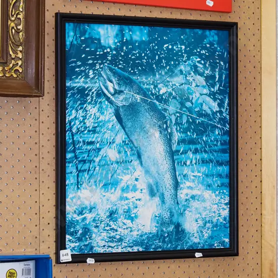 framed print - trout on fishing line