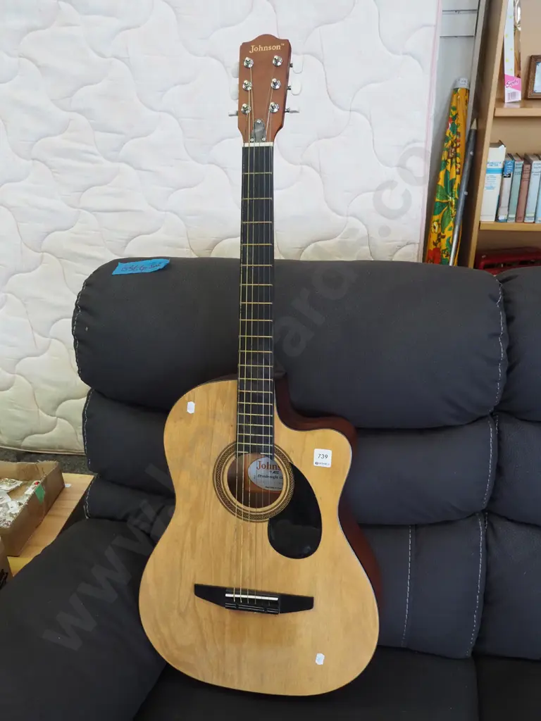 Johnson acoustc guitar Image 1++