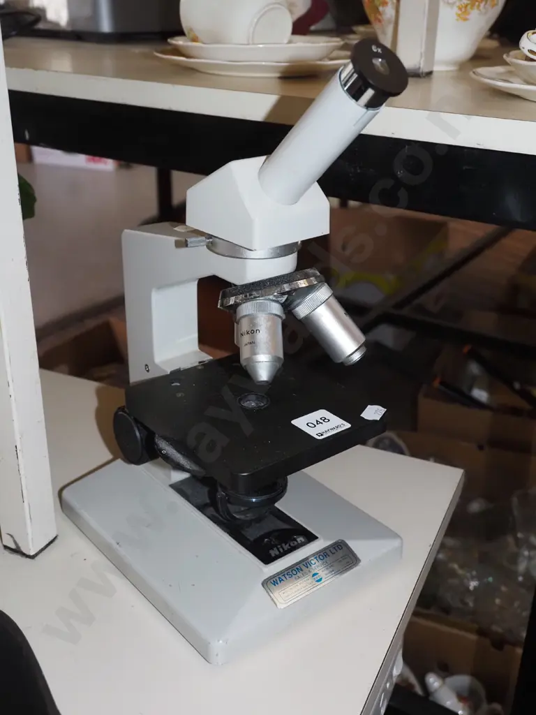 Nikon microscope Image 1++
