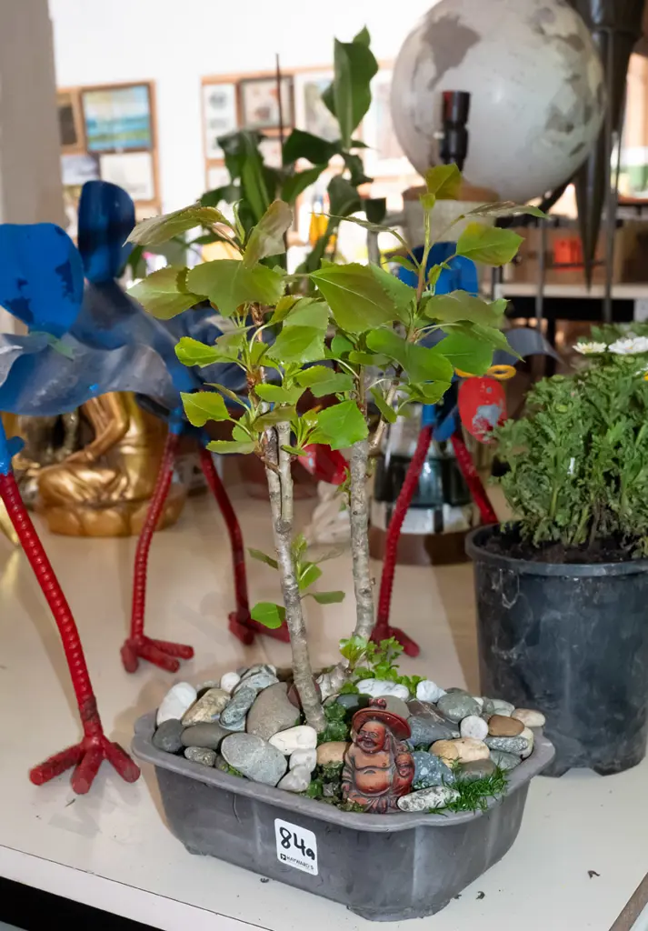 plastic potted bonsai Image 1++