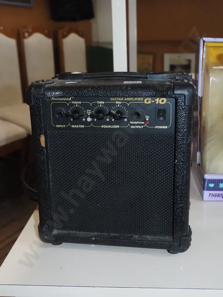 very small Burswood G-10 guitar practice amp Image 1++