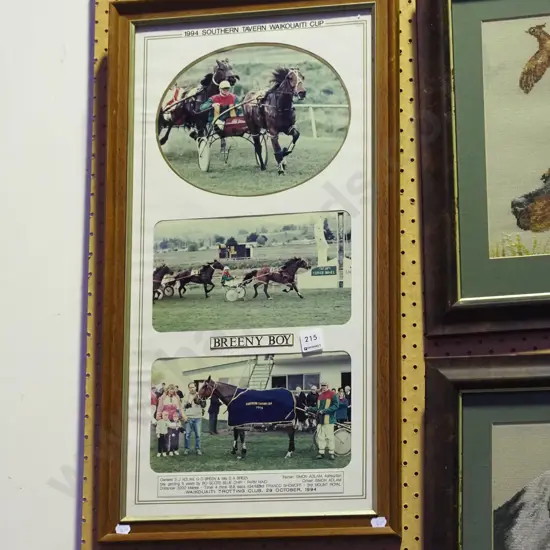 framed Breeny Boy winners photographs