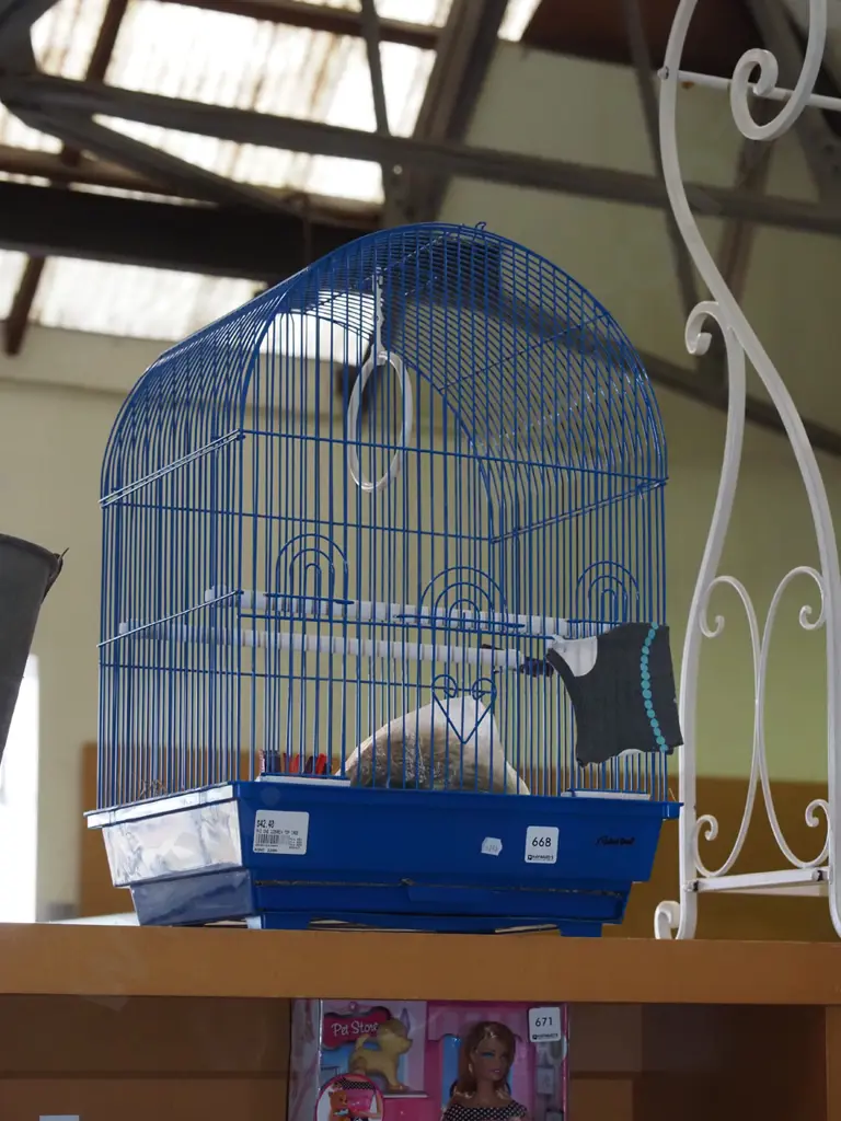 bird cage Image 1++