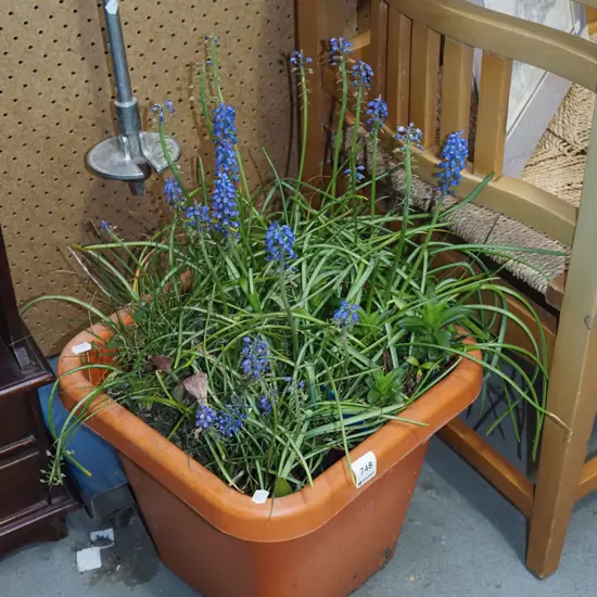 plastic tub of match heads