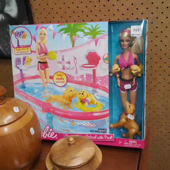 box a new Puppy Swim School Barbie