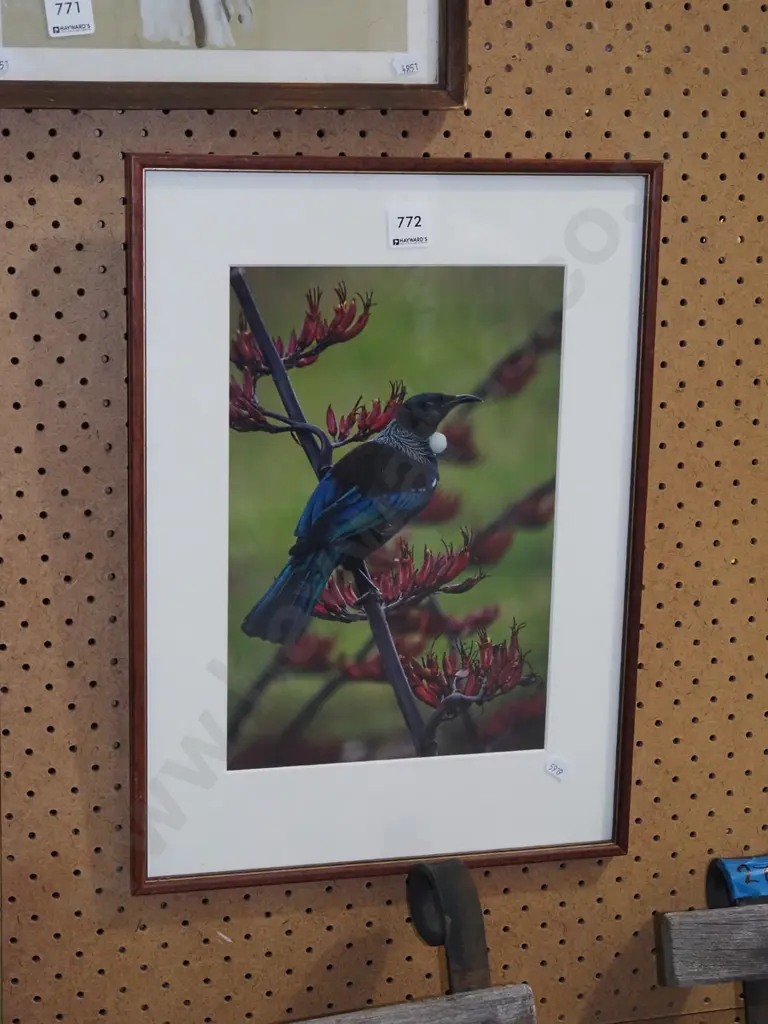 framed tui print Image 1++