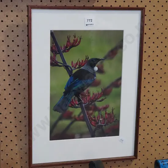 framed tui print