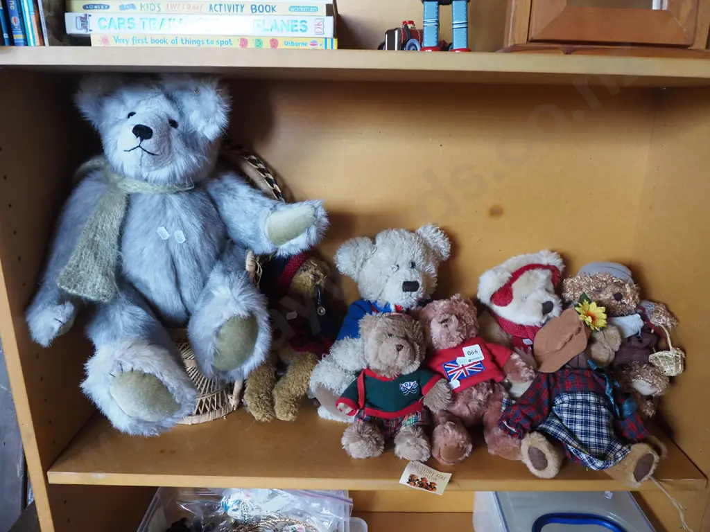 shelf of teddy bears Image 1++