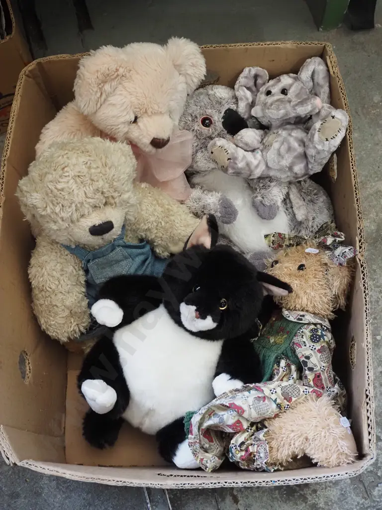 box of bears Image 1++